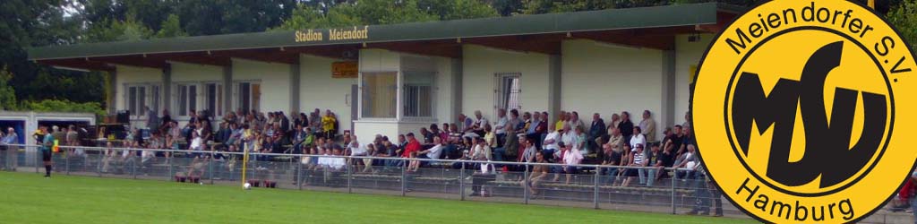 Meiendorfer Flens-Arena
